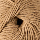 Camel 014