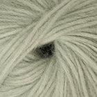 Eucalyptus 016