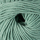 Sage 019